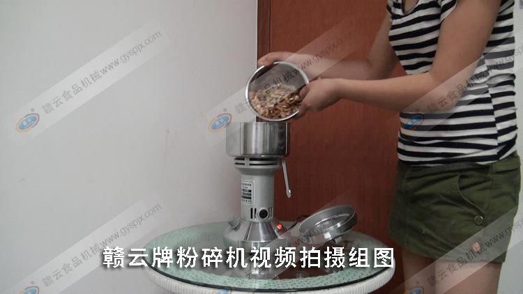 300克直立螺紋式粉碎機(jī)打核桃