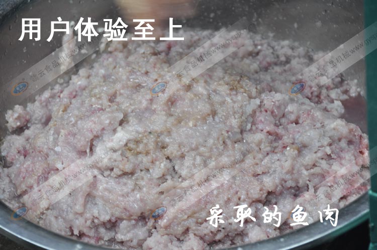采取的魚肉