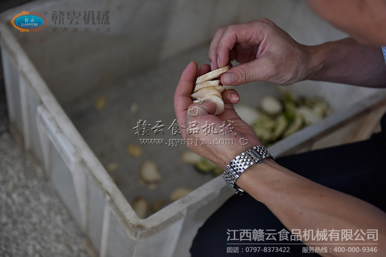 杏鮑菇試切效果